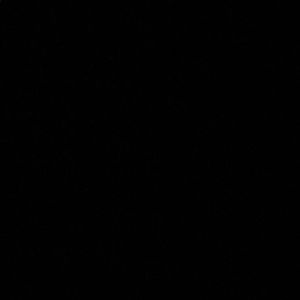 Meet your Posher, Isaac